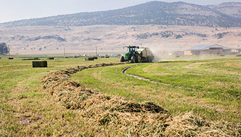 Tractor in field