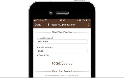 Screenshot of P2P Payments
