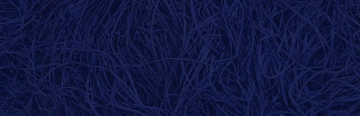 Blue Tangle
