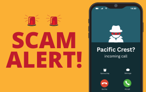 Scam Alert