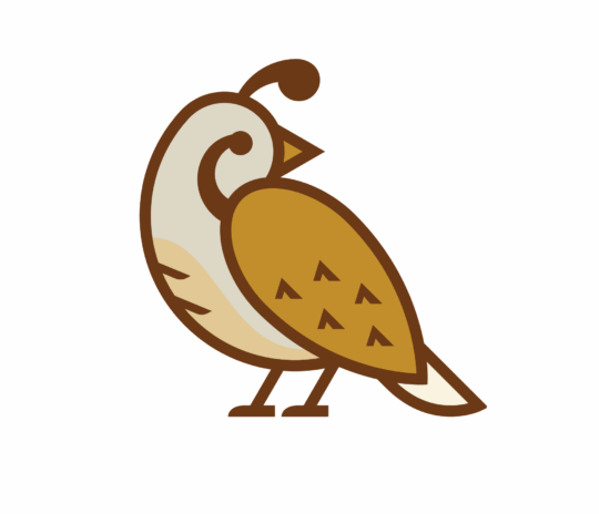 Quail logo